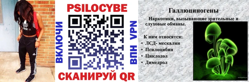 Галлюциногенные грибы Cubensis Высоцк